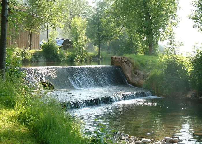 Haustierfreundliches Hotel: Erlachmühle